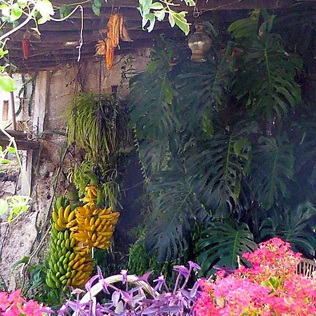 Rural El Navio - Adults Only Hotel