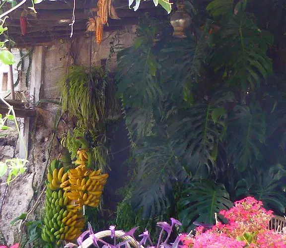 Rural El Navio - Adults Only Hotel Alcala (Tenerife)